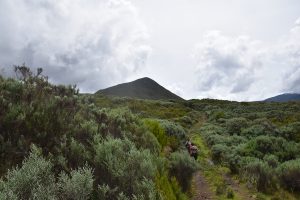 hiking Mount Kenya